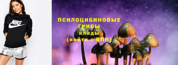 крисы Алексин