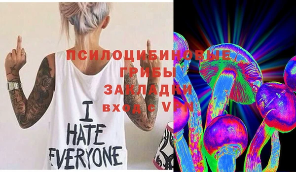 крисы Алексин