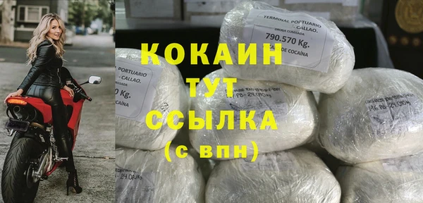 крисы Алексин