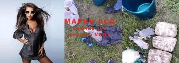 ПСИЛОЦИБИНОВЫЕ ГРИБЫ Гусев