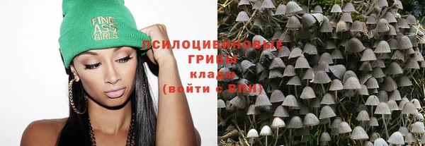 крисы Алексин