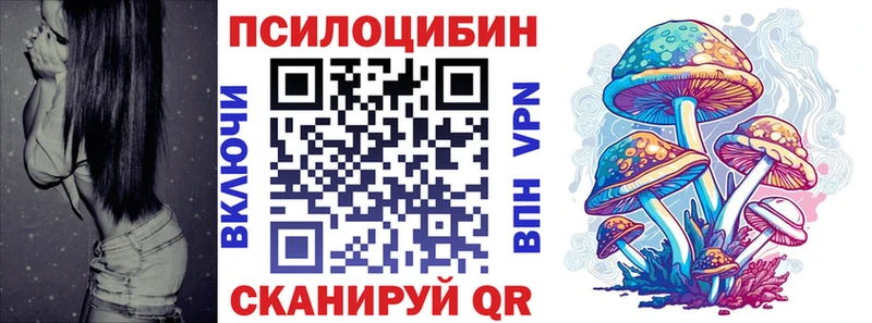 где найти   Горячий Ключ  Псилоцибиновые грибы мицелий 